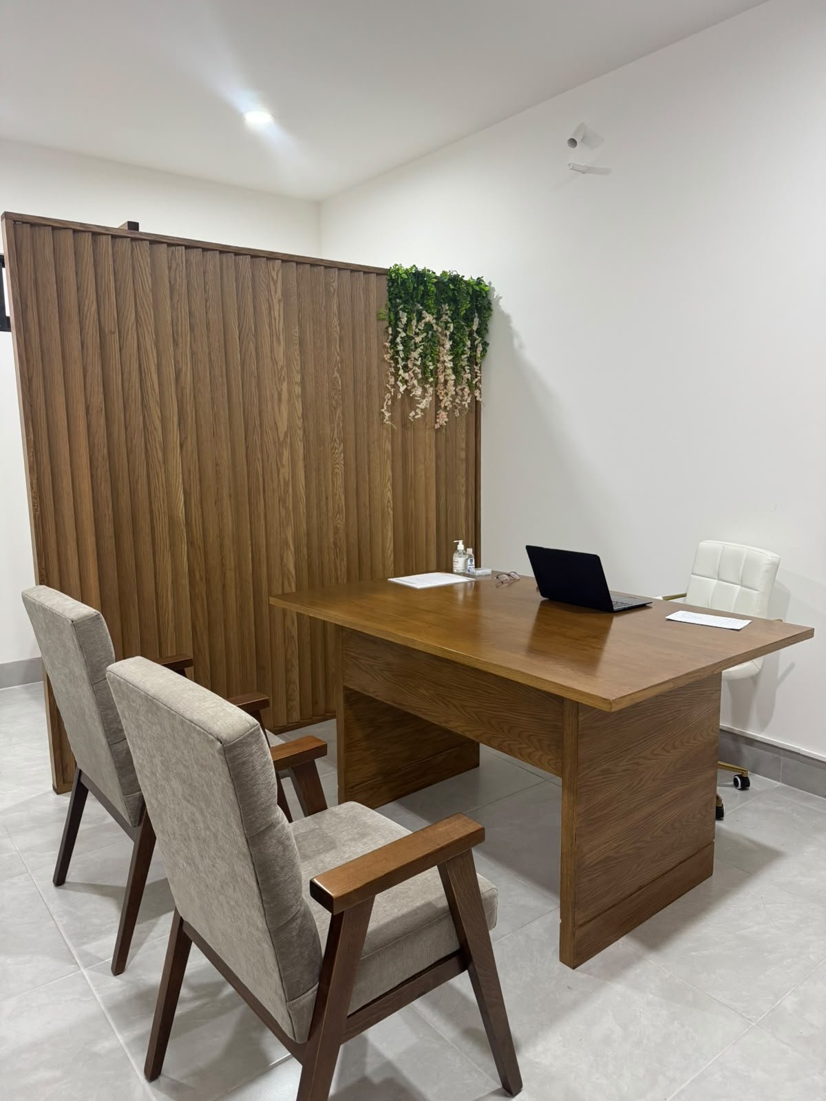Consultorio de Integra+ con escritorio de madera y sillones para consulta